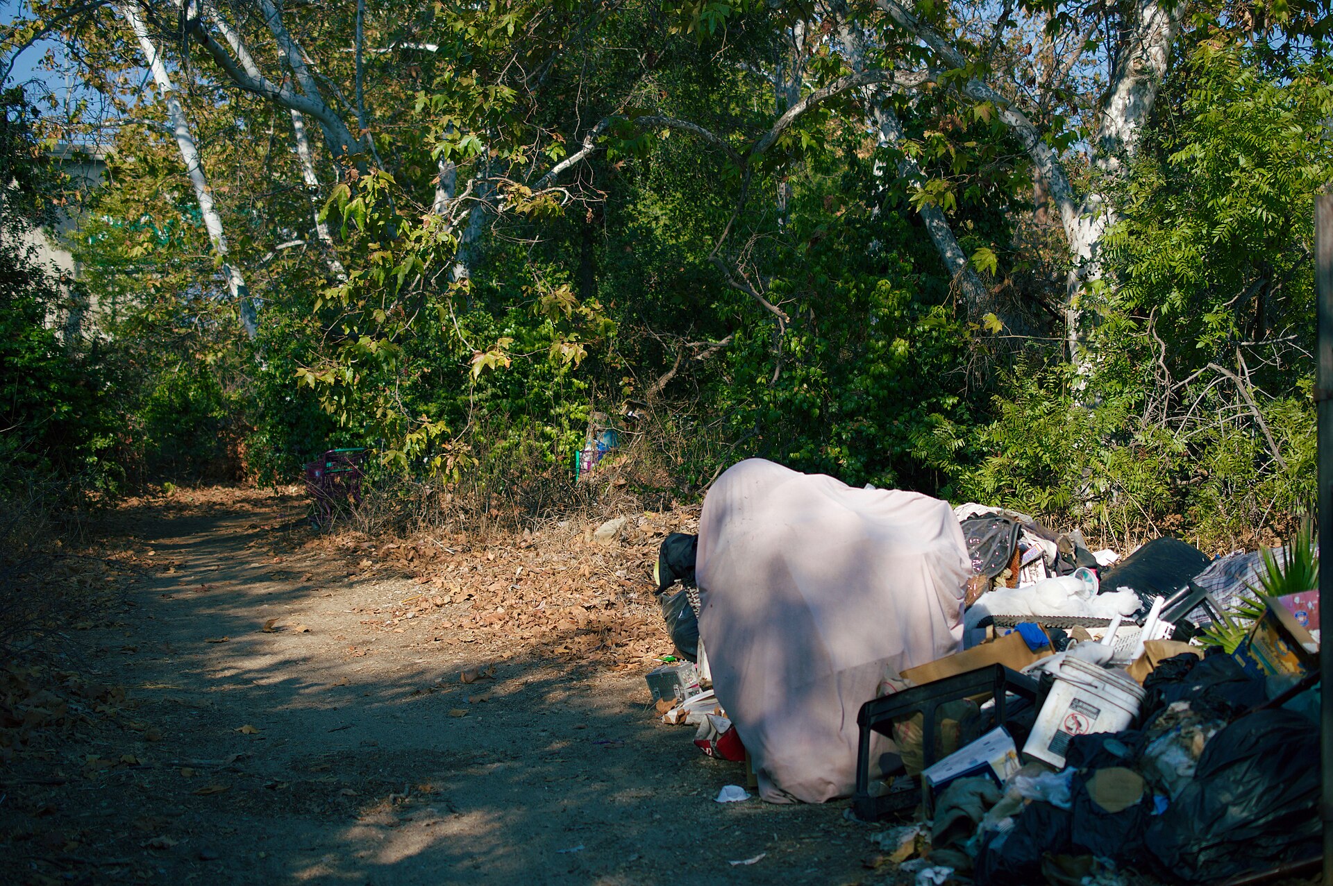 Cleanup of a homeless encampment in Redding